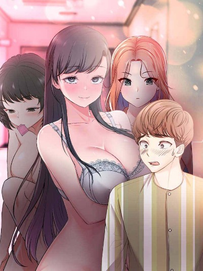 钢之炼金术师 封面